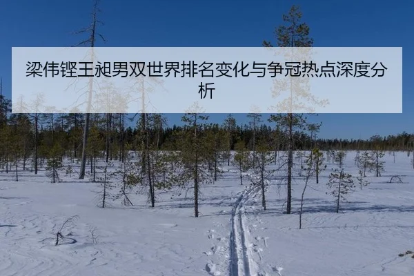 梁伟铿王昶男双世界排名变化与争冠热点深度分析